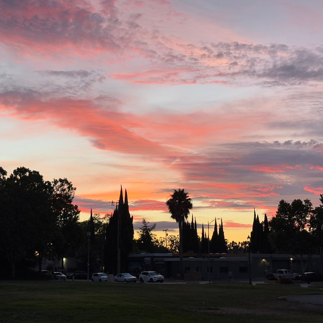 Free Movie Nights Under the Stars 1