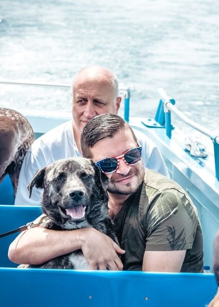 Cruising for Canines 3