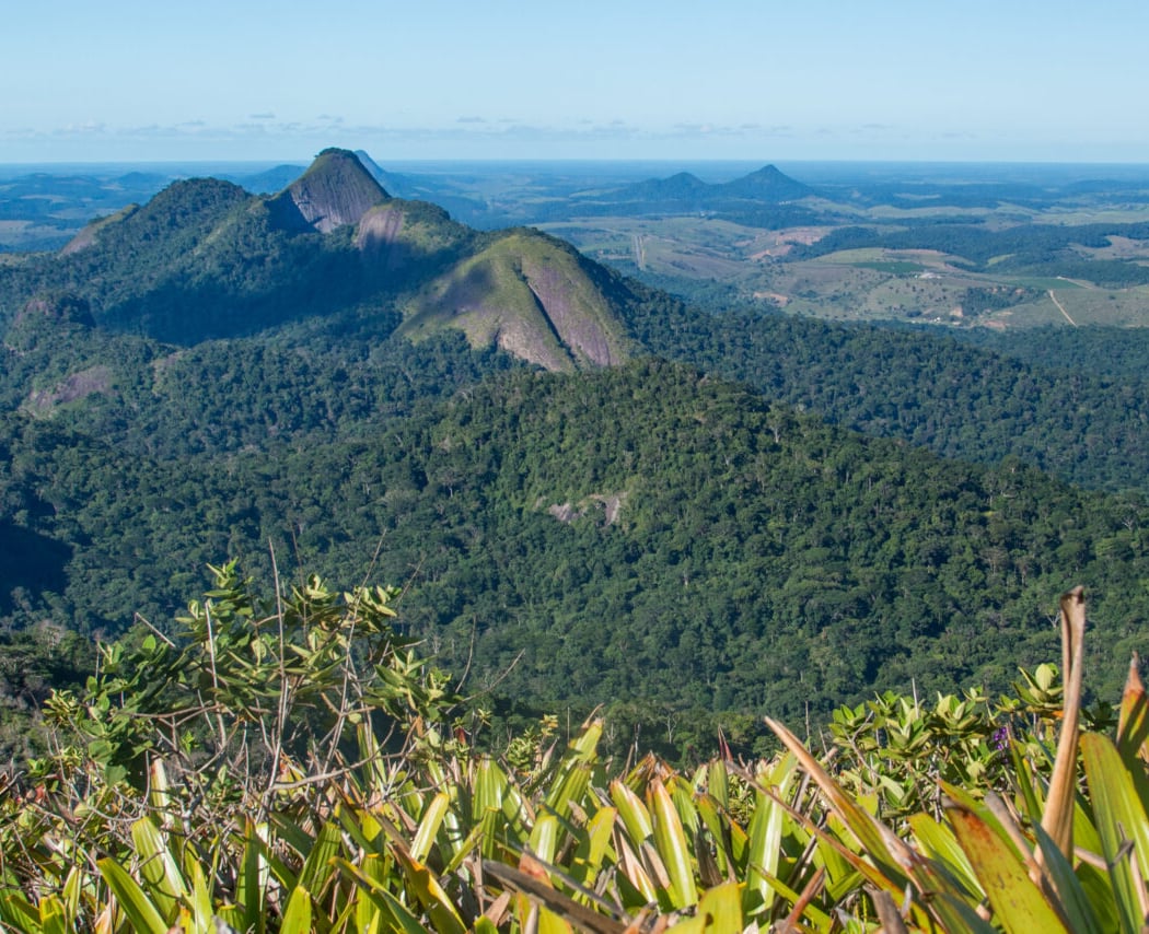 NYBG at COP30 1