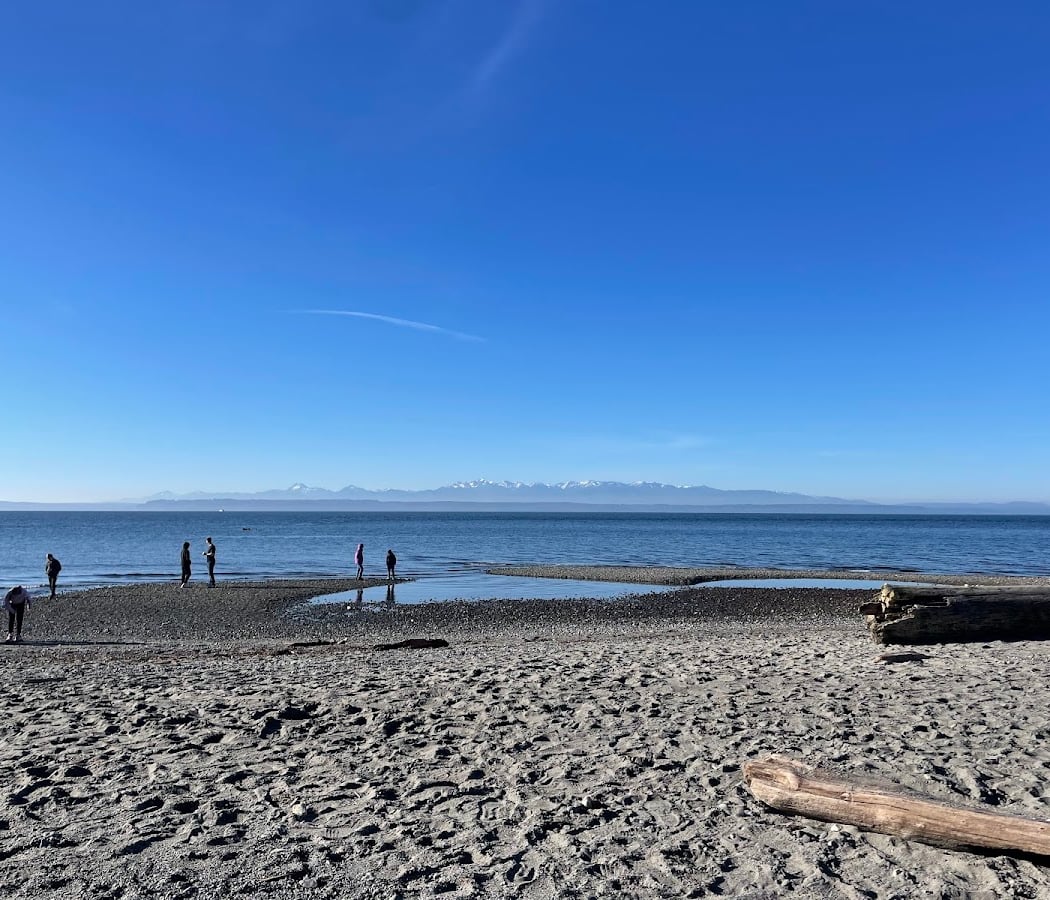 Low-Tide Exploration 1
