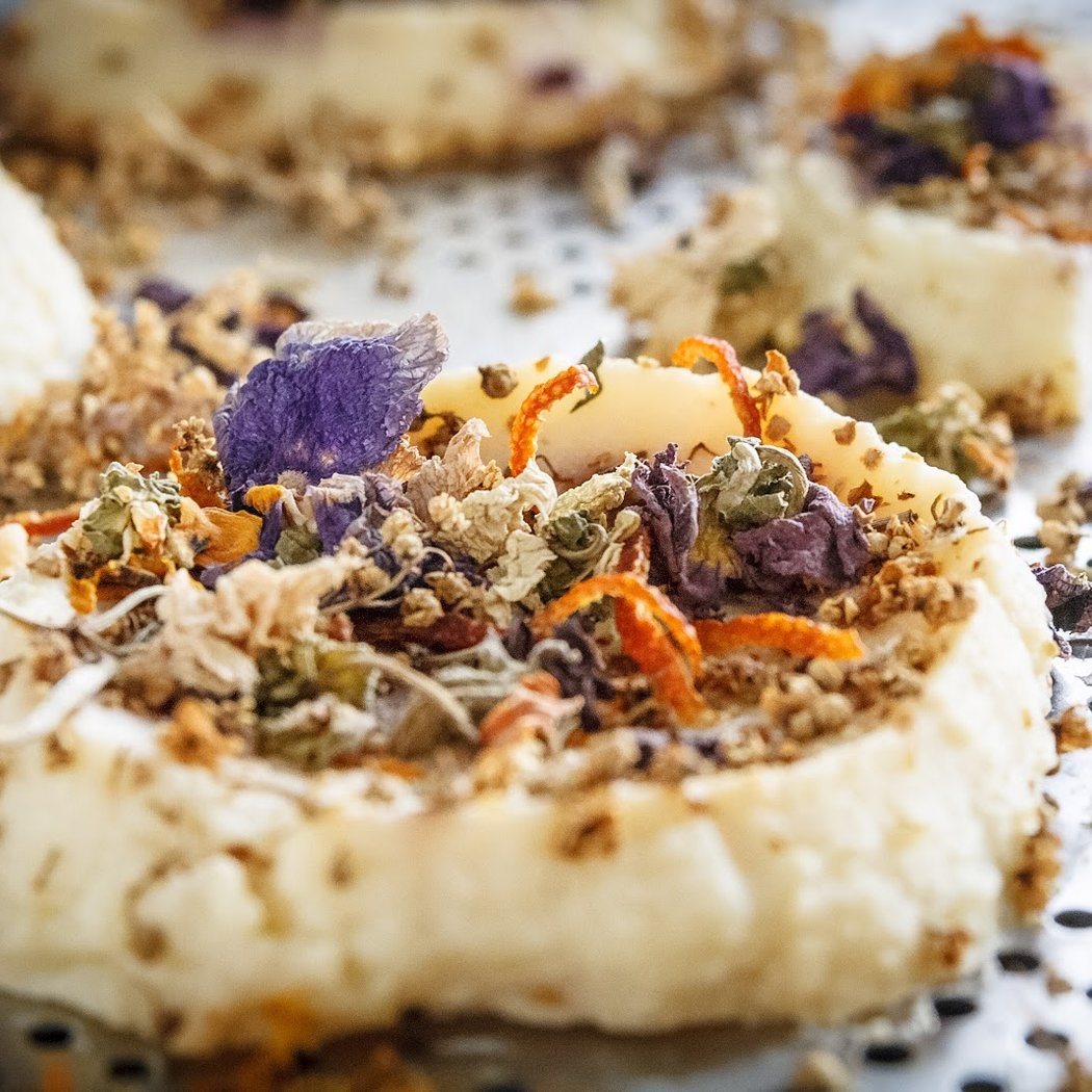 Pioppotremulo Gastronomia Botanica 1