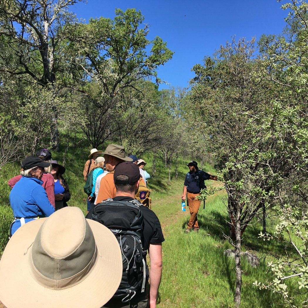 Wantrup Preserve Birding 1