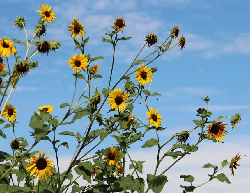 A Mindful Immersion at the Wetlands 3