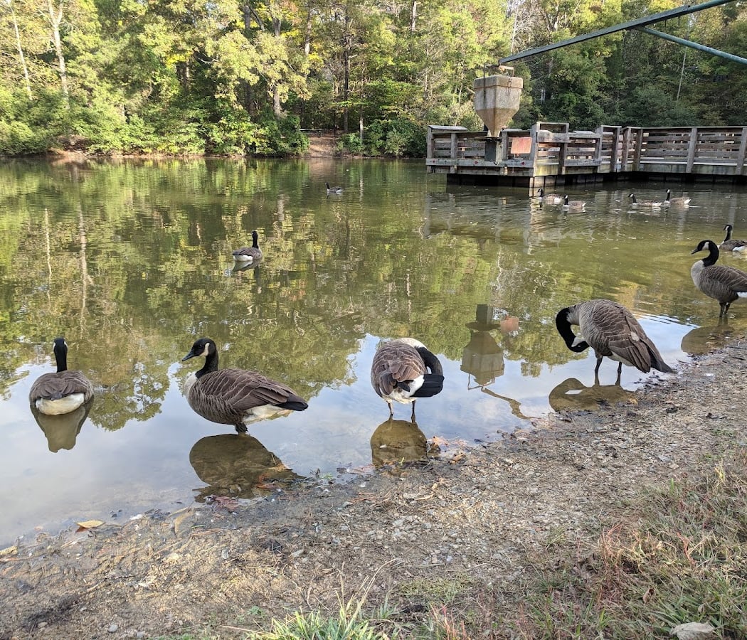 Squirrel Lake Park 3