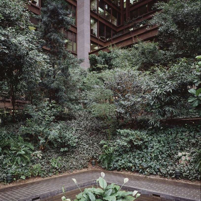 Ford Foundation Center for Social Justice 2