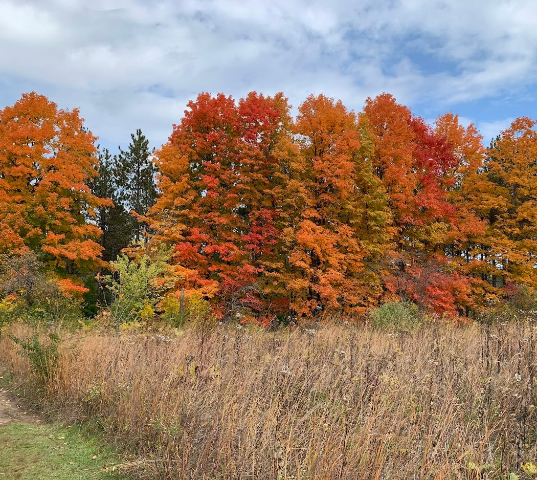 Retzer Nature Center 1