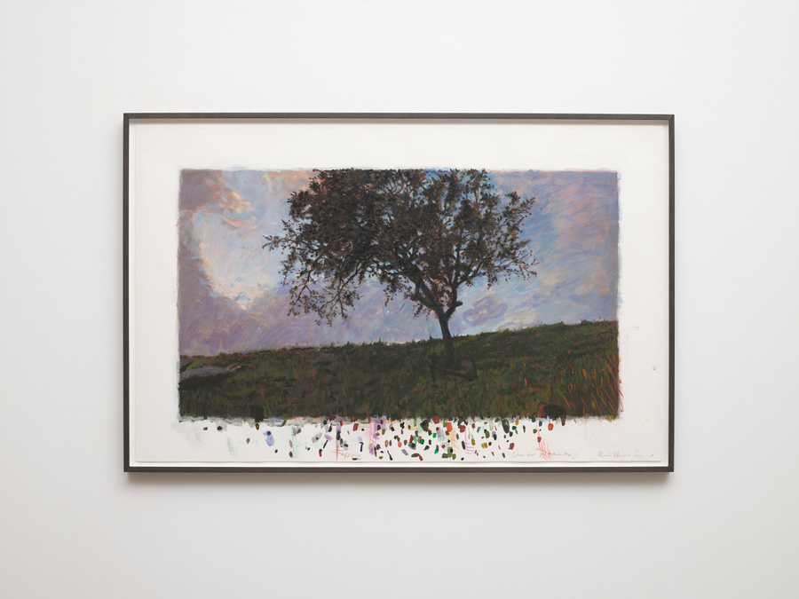 David Claerbout. Le printemps, lentement 1