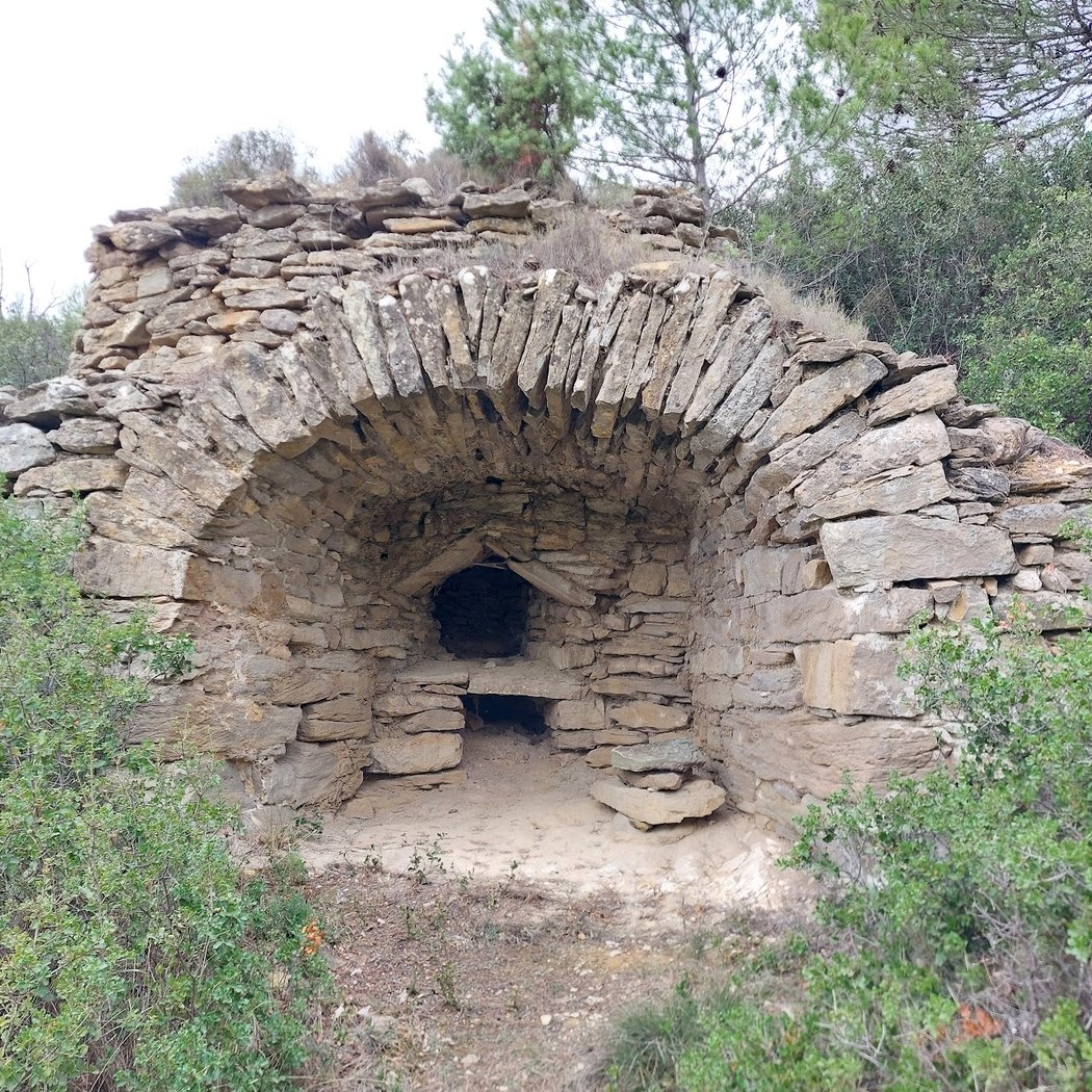 Œnorando du Cru La Livinière 3