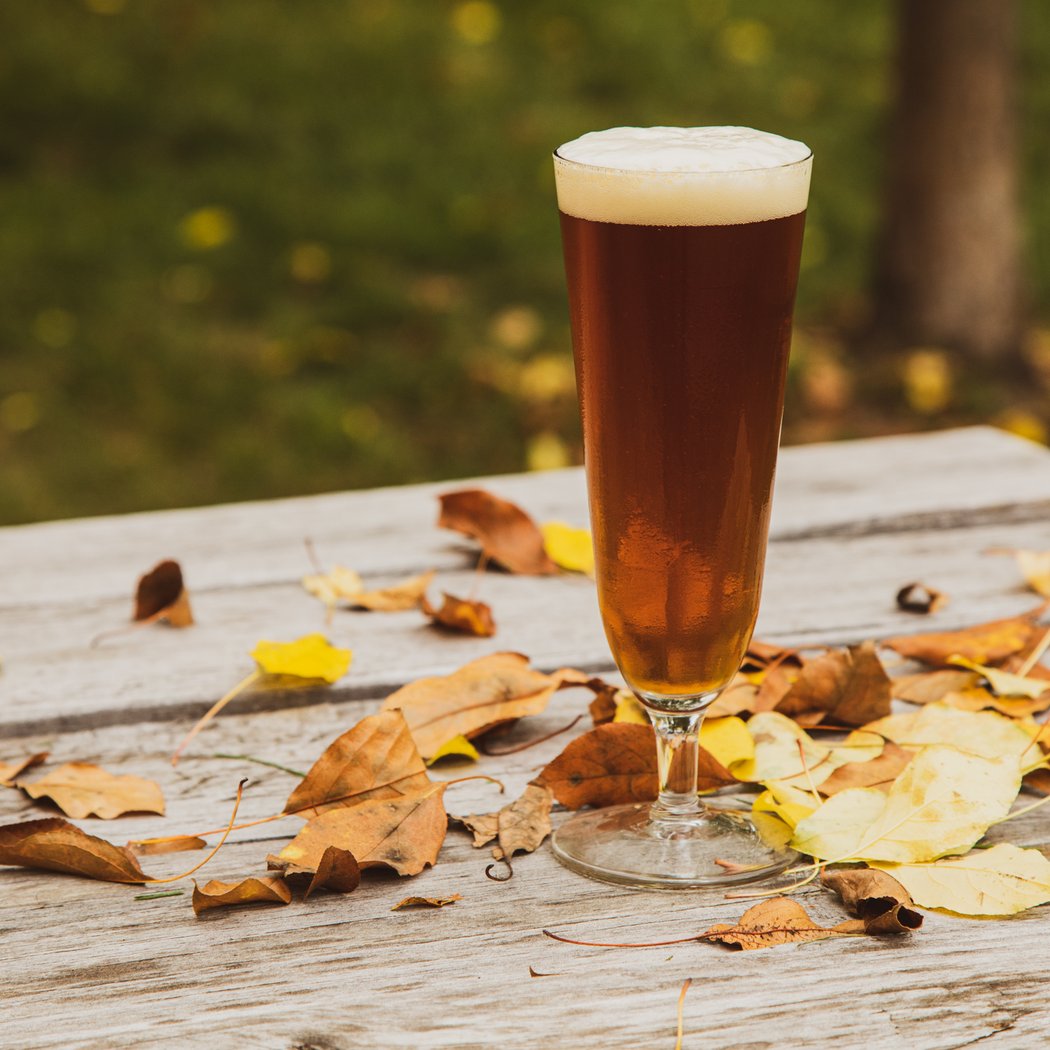 Glen Echo Brewing Fall Tap Release & Community Gathering 1