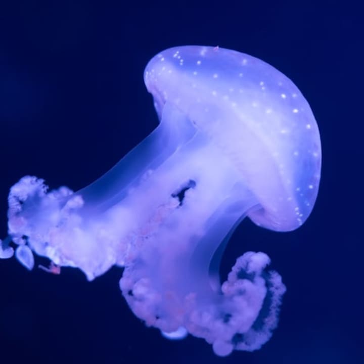 Aquarium de Paris 3