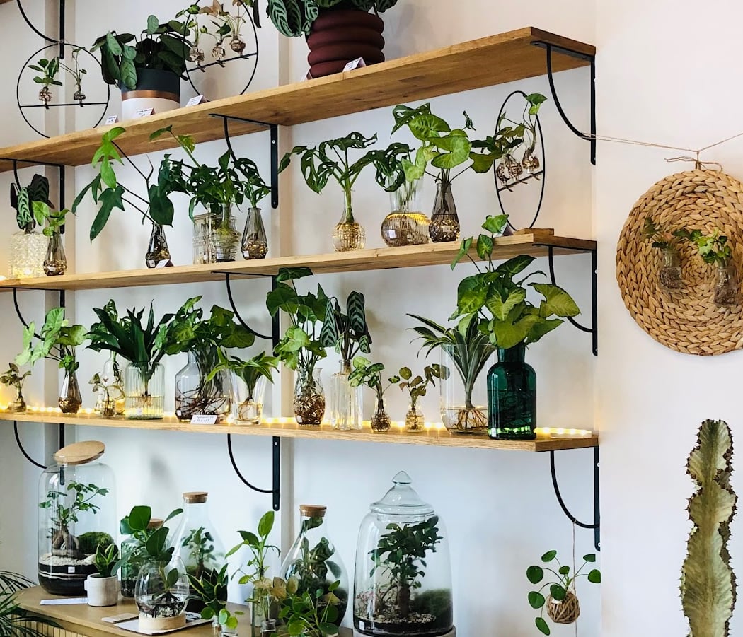 Artemisia Plantes et Déco • Boutique & Ateliers & E-shop 2