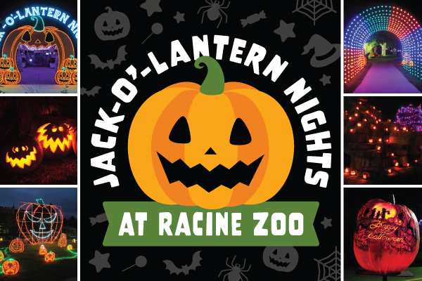 Jack-O'-Lantern Nights 1