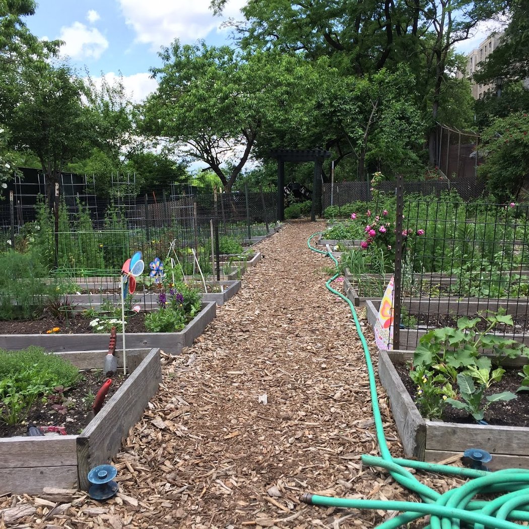 Riverside Valley Community Garden 4