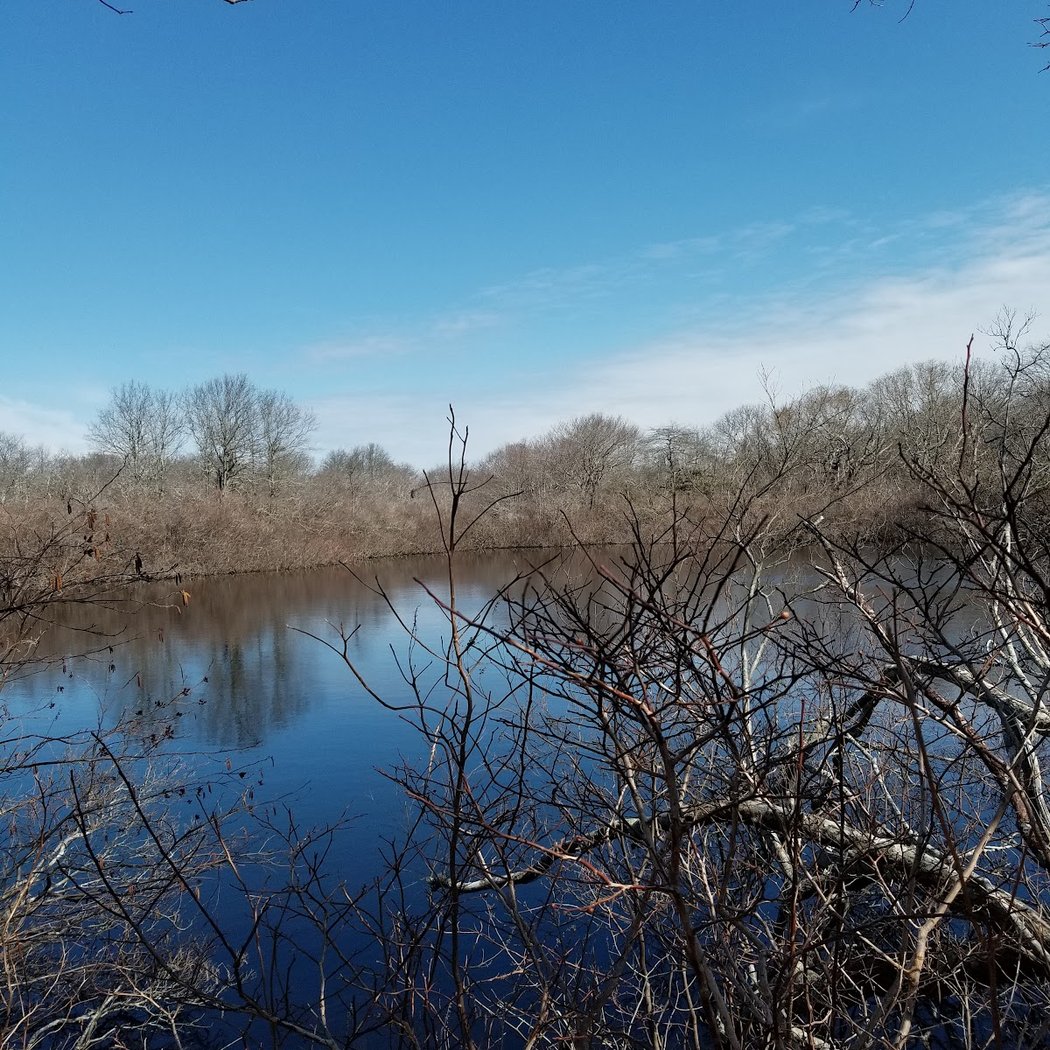 Money Pond 2