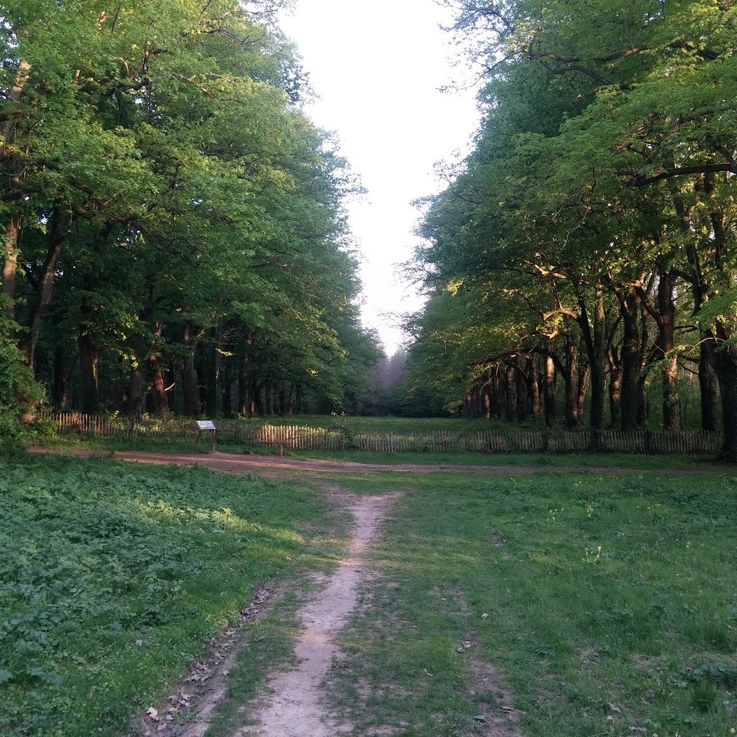 Parc de Livry 2