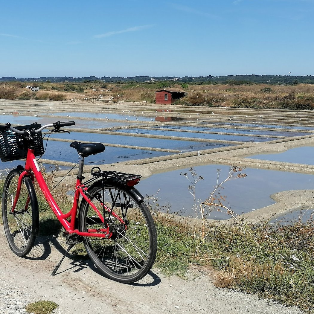 Véloc'Ouest - Location de vélo - La Baule Pornichet Plage 3