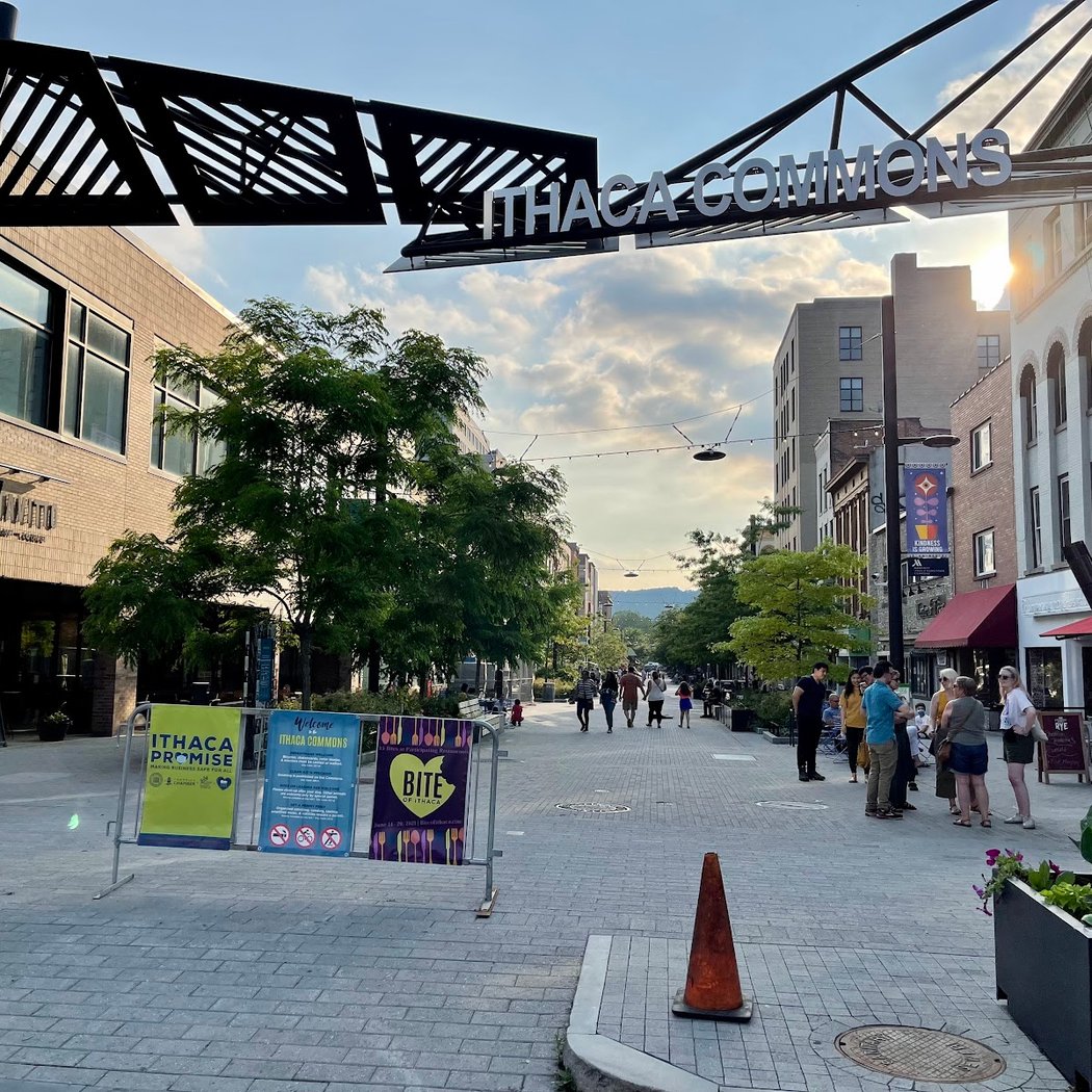Downtown Ithaca Alliance Office 3