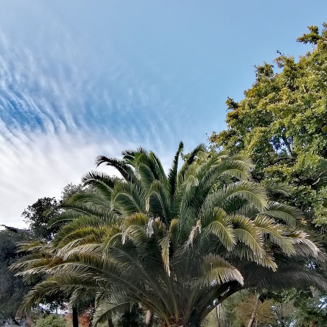 Brev' de Jardin 5
