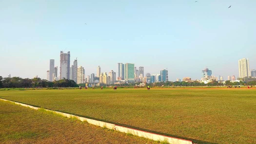 Lollapalooza India 2026 3