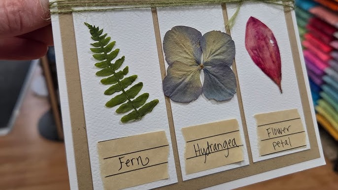 Garden Greetings: A Nature Inspired Card-making Workshop 4