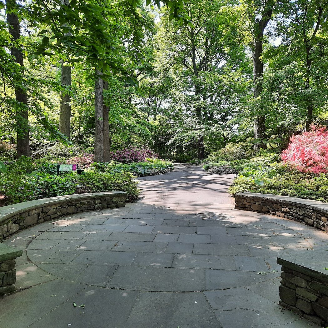 Azalea Garden 1