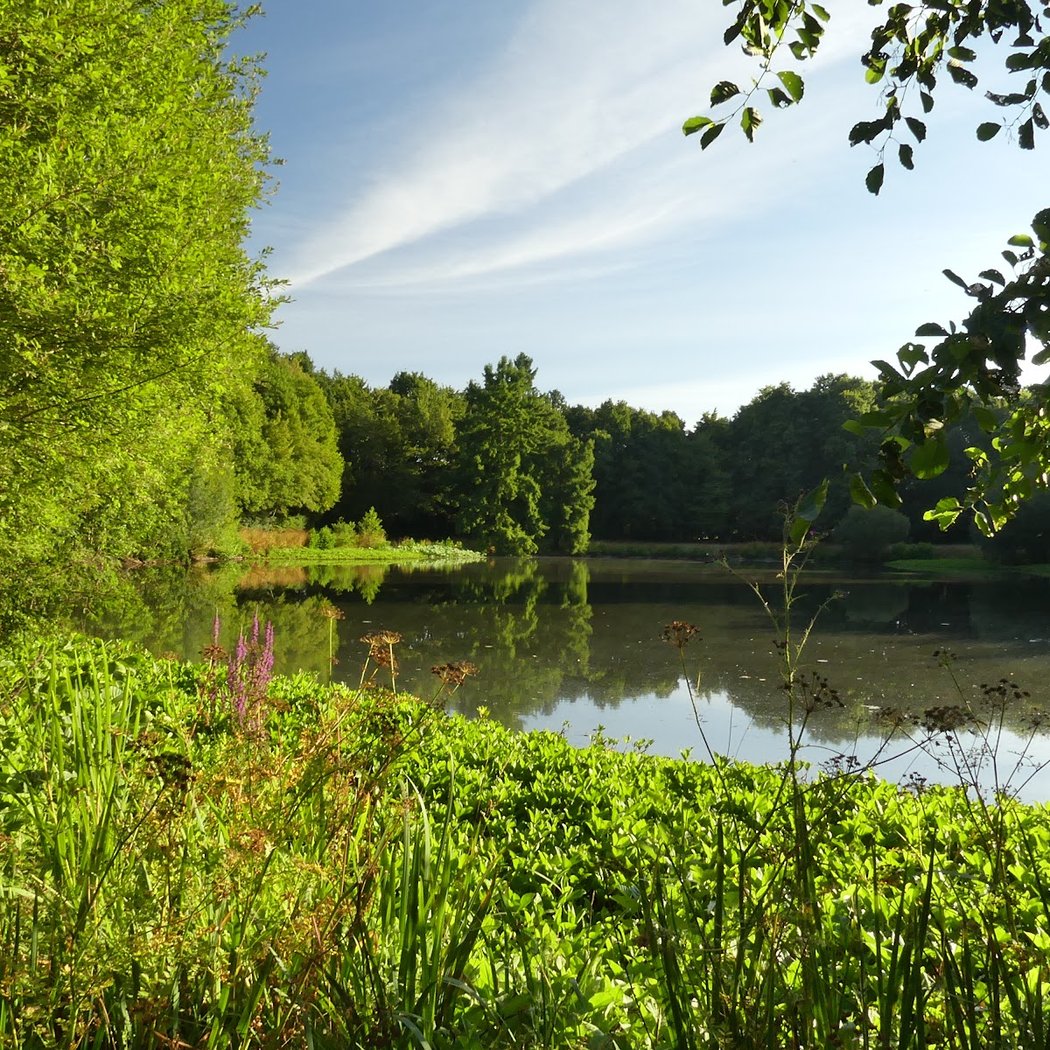 Parc des Gayeulles 2