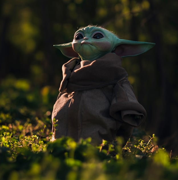 May the 4th Be With You: A Star Wars Event 1