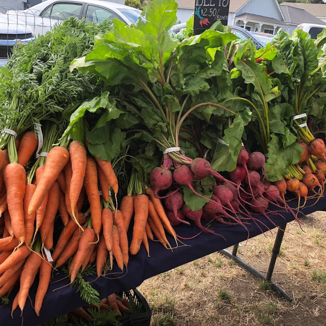 Pescadero Grown Community Farmers' Market 1