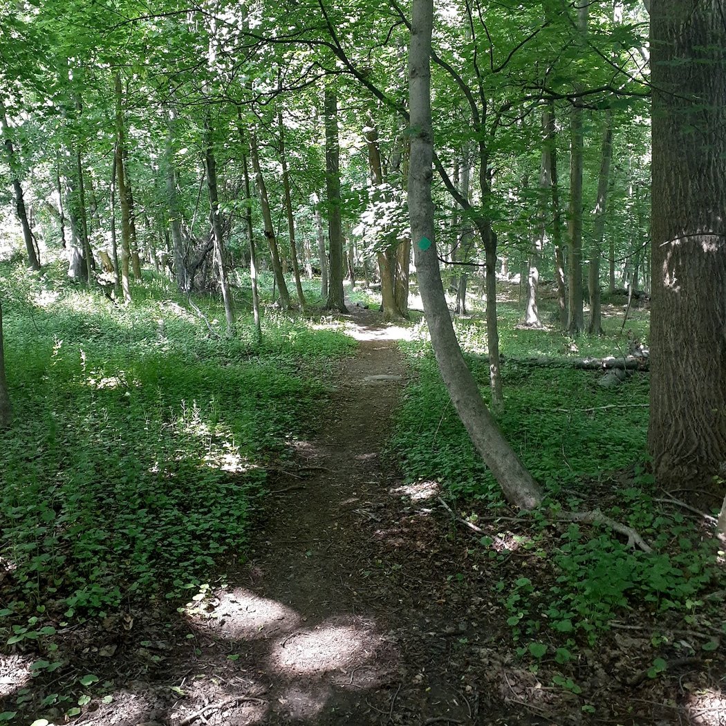 Briarcliff-Peekskill Trailway 1