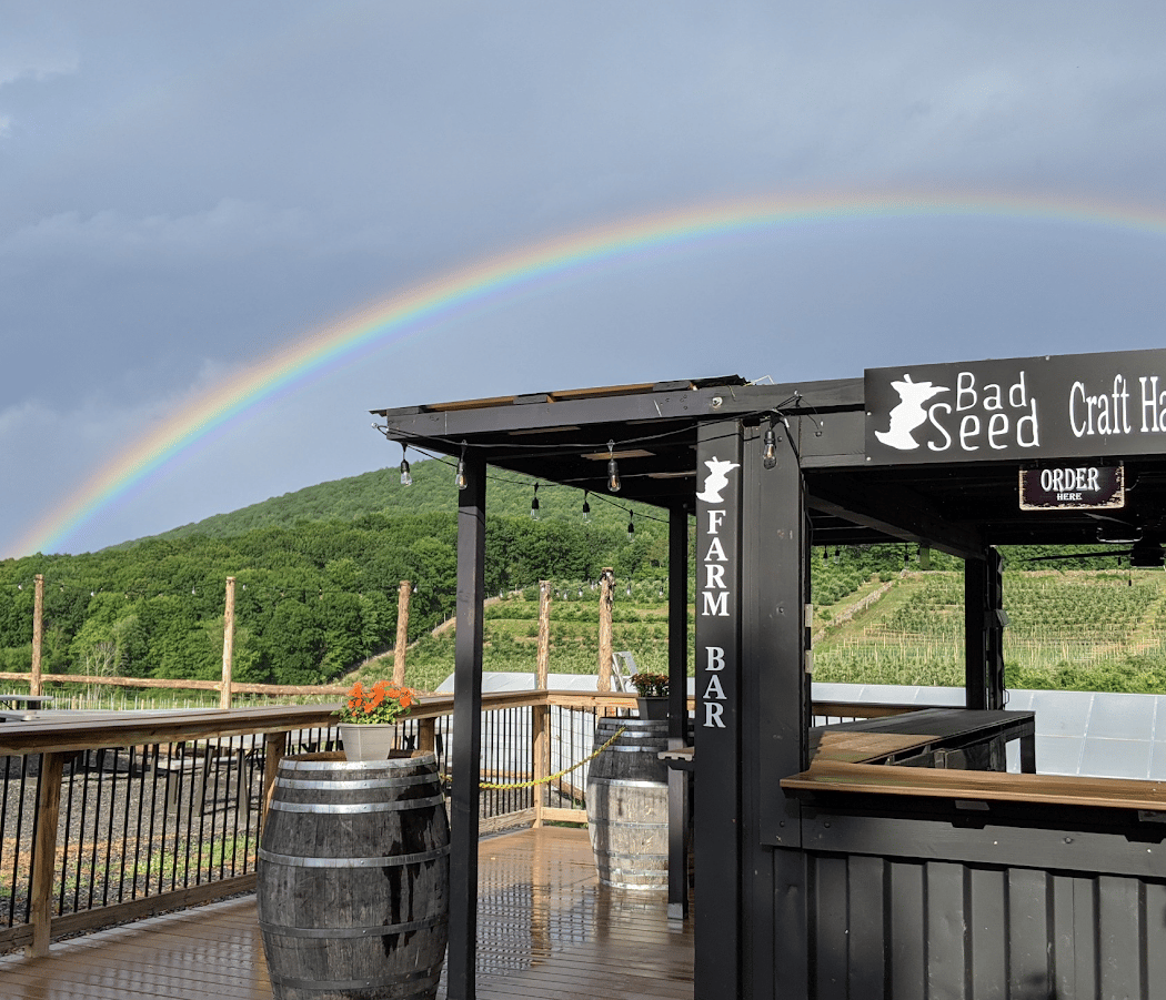 Bad Seed Farm Bar 1