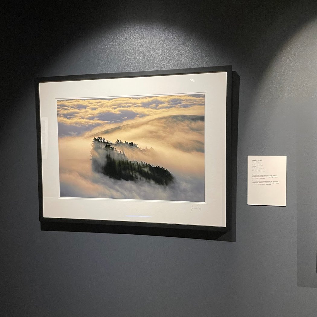 Works by Lucas Blok and Jeffrey Becom 1
