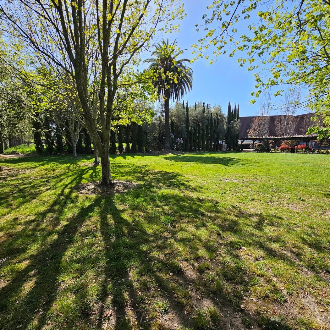 Sebastiani Circus Park 1