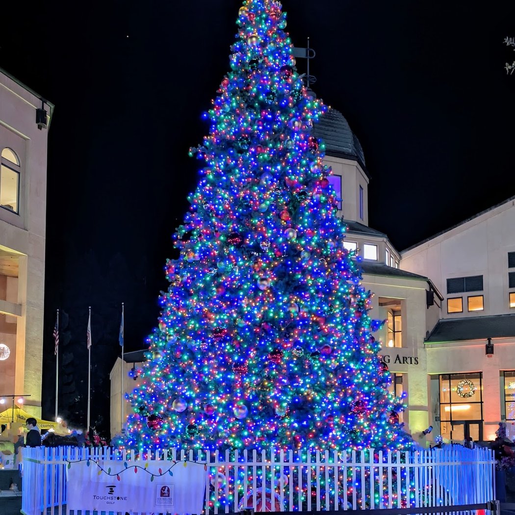 Mountain View Civic Center Plaza 1