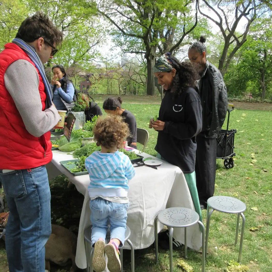 Celebrate Earth at Fort Greene Park 2