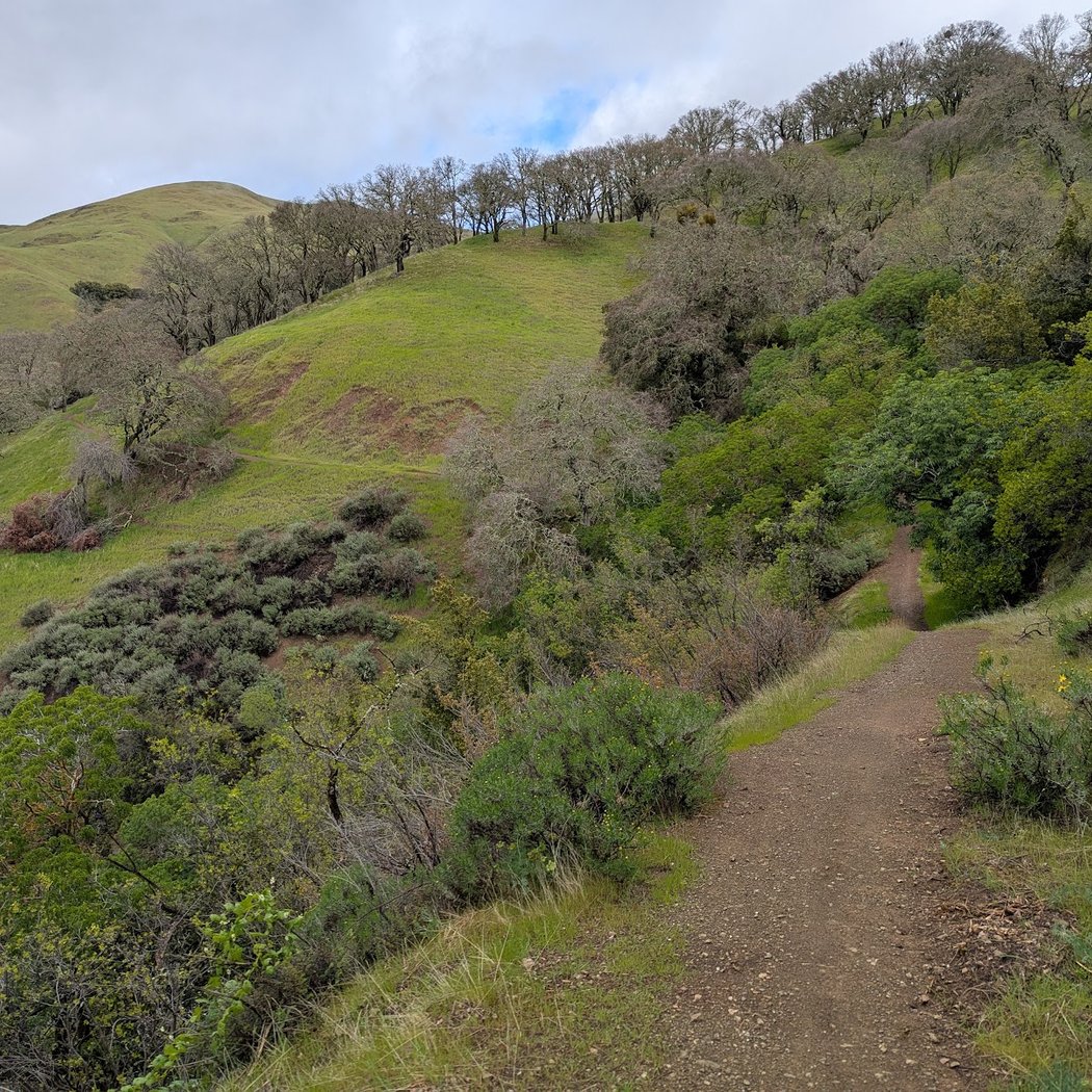 Mount Diablo State Park North Gate Entrance 1