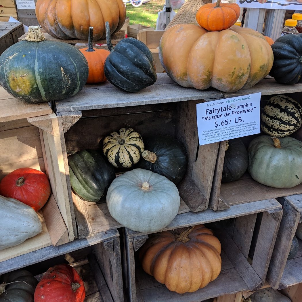 Tarrytown & Sleepy Hollow Farmers Market - The TaSH 1