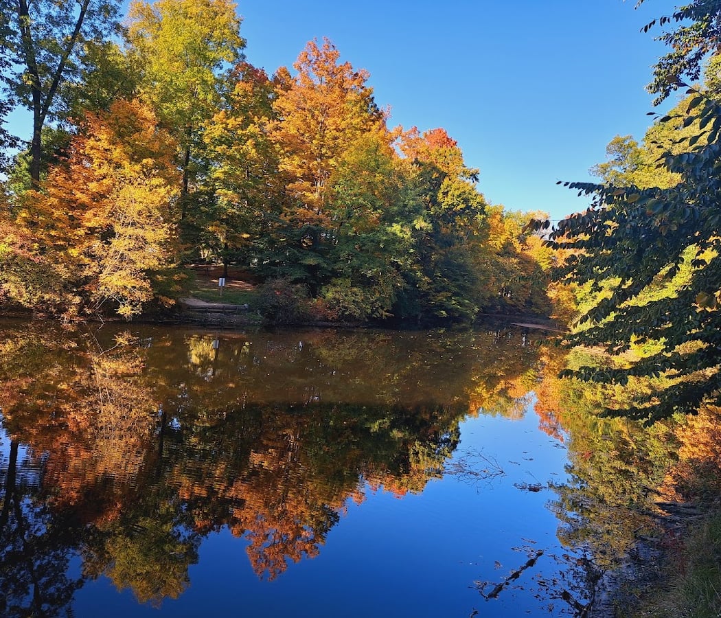 Washington Township Park 1