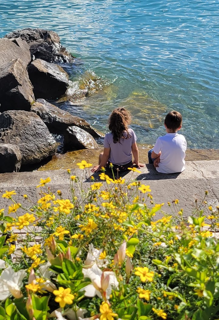Montreux 3