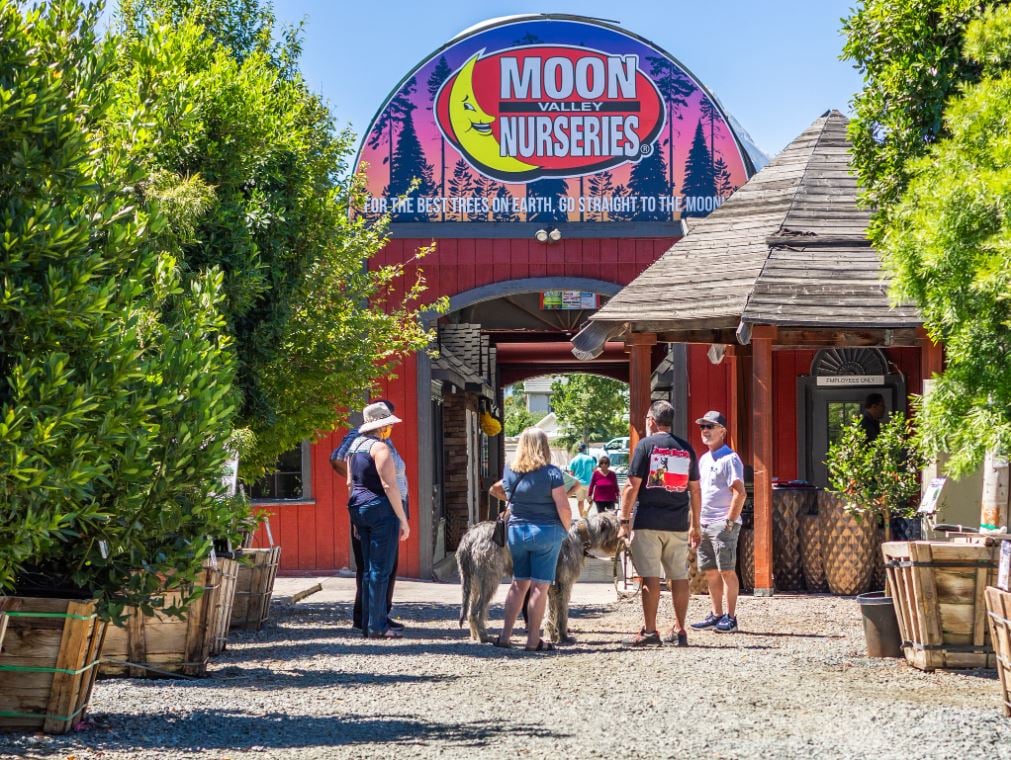 Moon Valley Nurseries 1