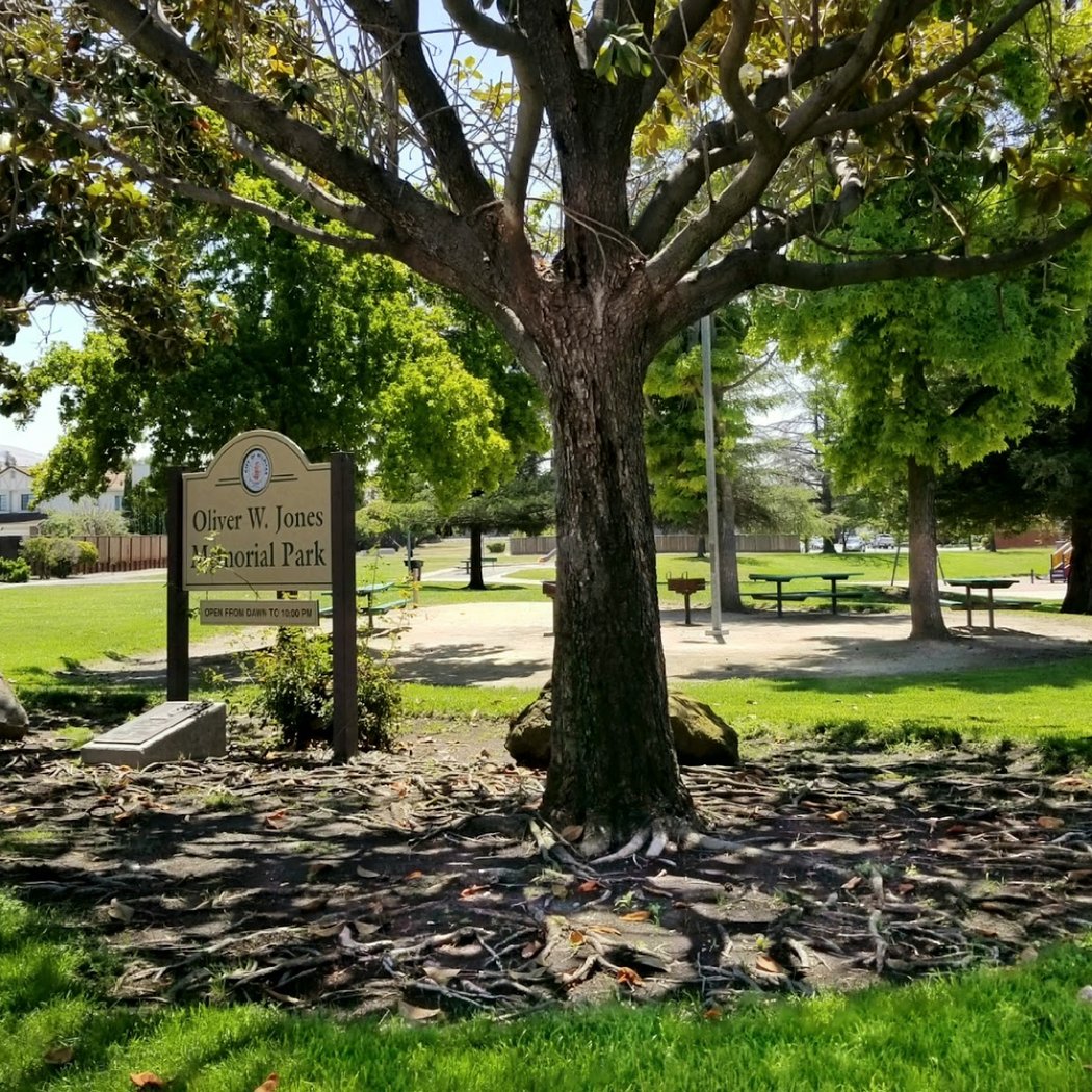 Oliver W. Jones Memorial Park 3
