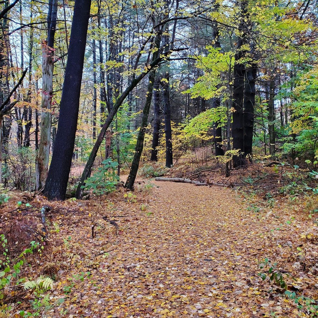 Flanders Nature Center & Land Trust 1