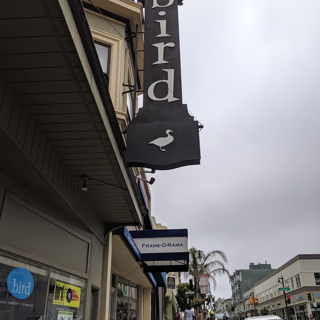 Bird School of Music 3