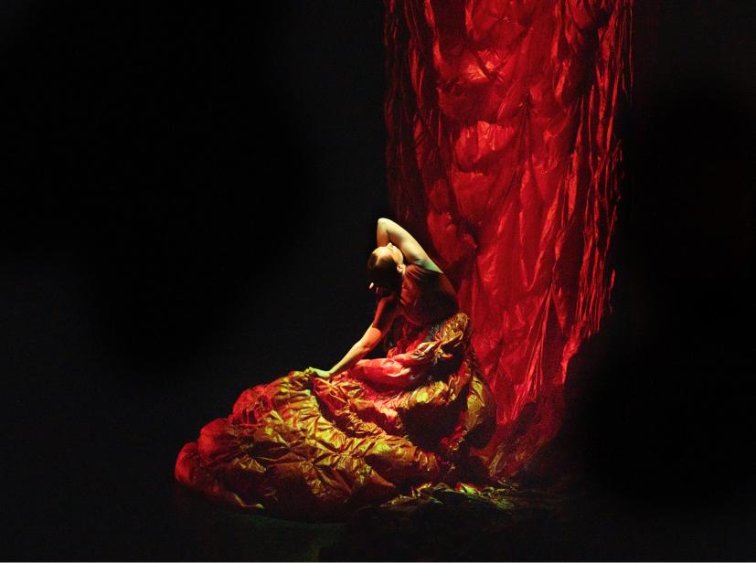 Chaillot Expérience Flamenco 1