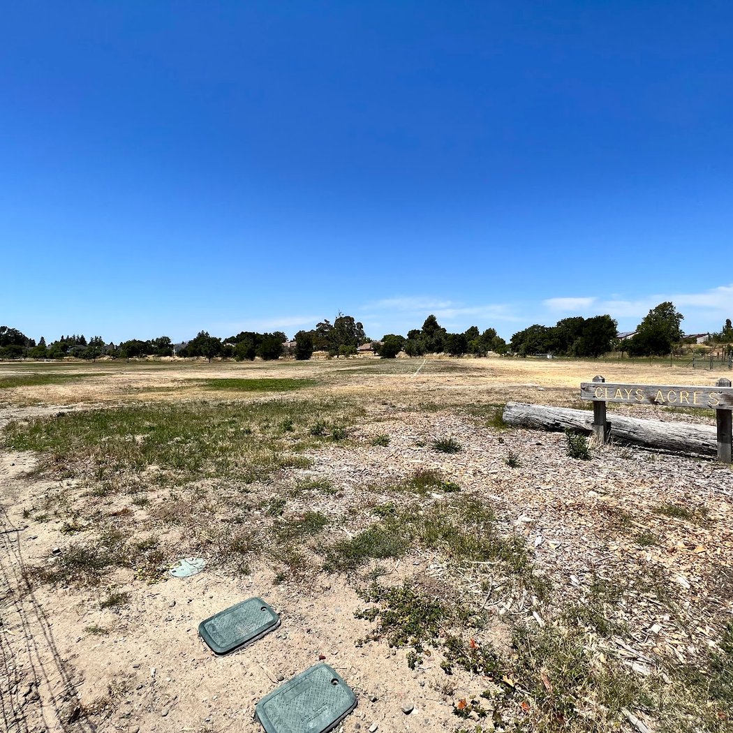 Livermore Canine Park 2