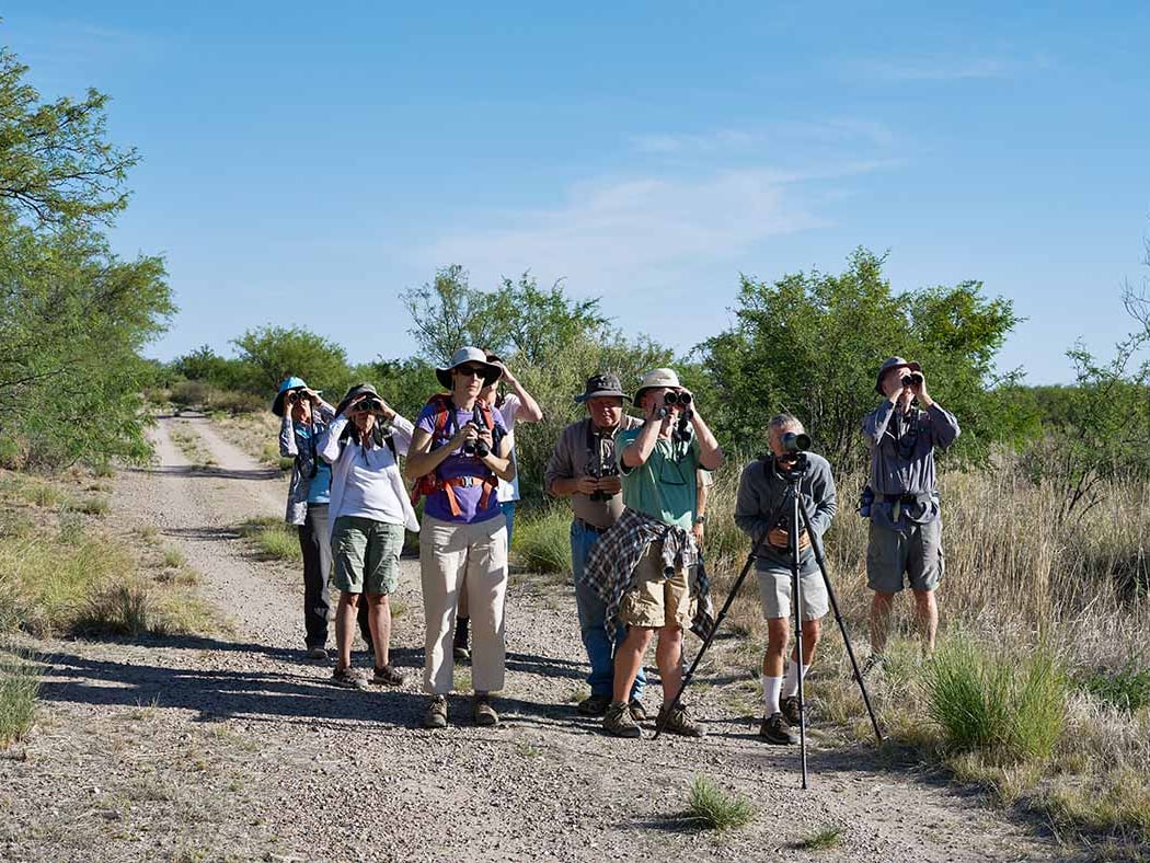 Guided Bird Walk 3