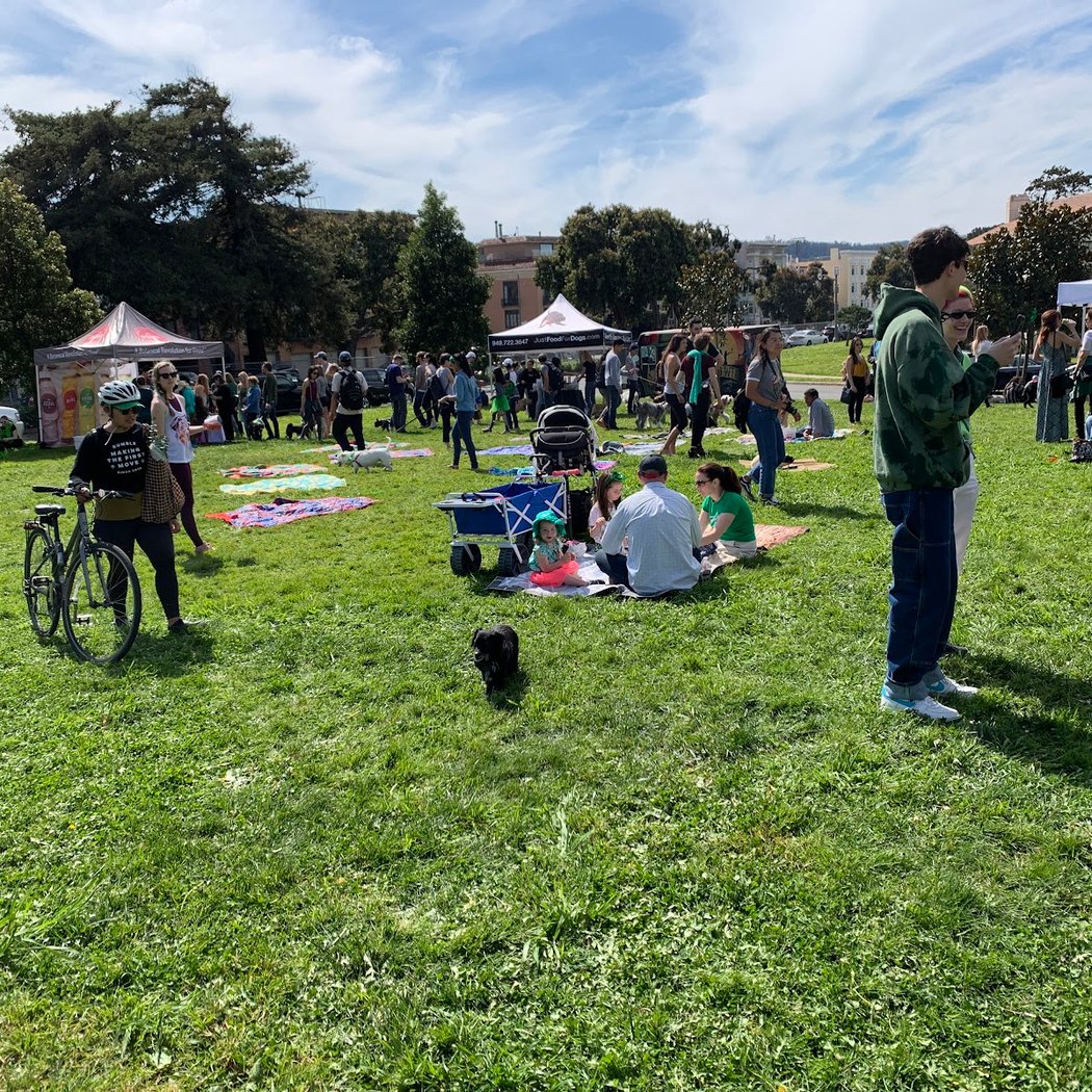 Patrick's Park 2