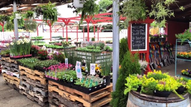 Sweet Pea’s Spring Garden Market 3