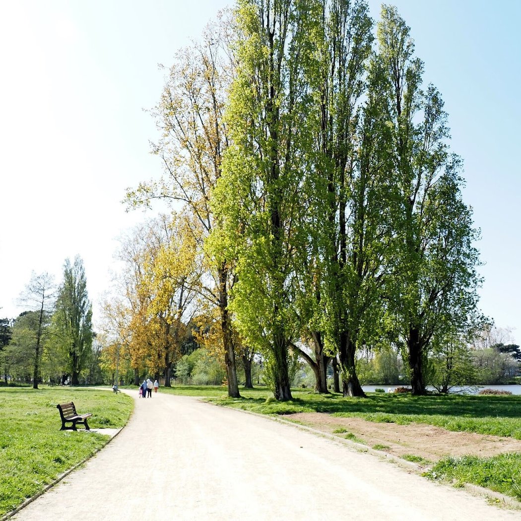 Parc Paysager 2