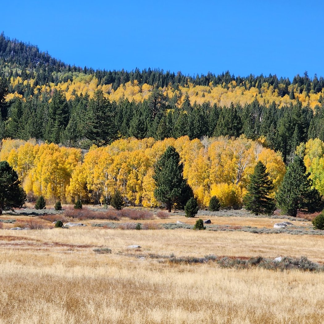 Hope Valley 1