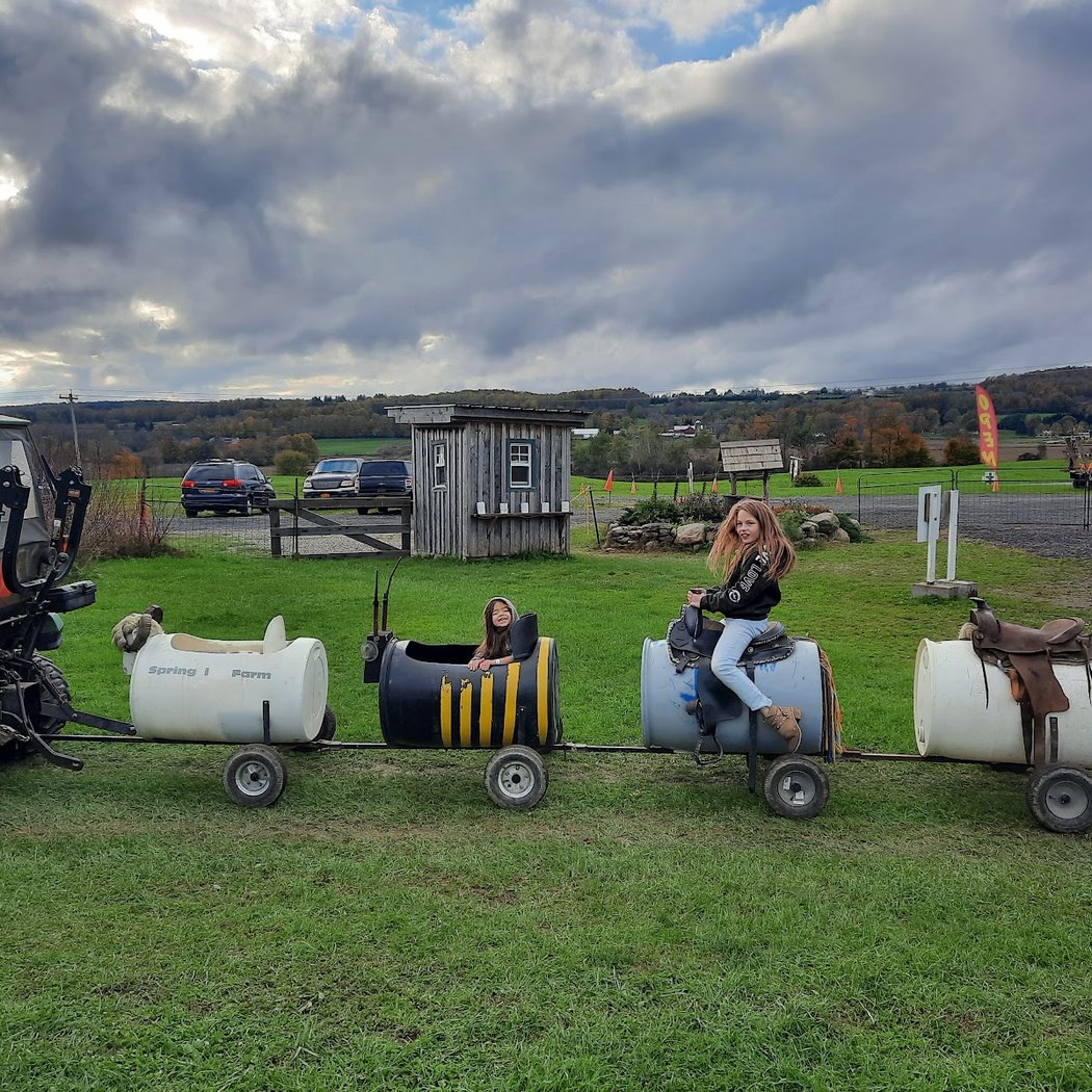 Springside Farm 1